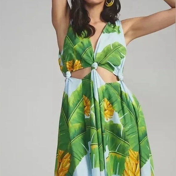 FARM Rio Midi Dress - Picture 6 of 8